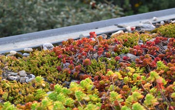 the cost of Woodland Head green roof installation