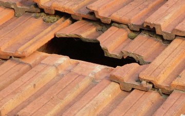 roof repair Woodland Head, Devon